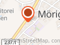 Dorfverein Mörigen