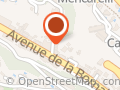 Brachet Odile