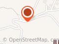 FUNNY DOG & Ascenzi
