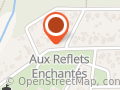 Coiffure Aux Reflets Enchantes