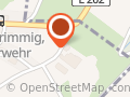 Ortsgemeinde, Ortsbürgermeister