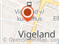 REMA 1000 VIGELAND