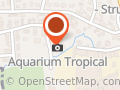 Aquariums Nguyen