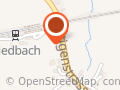 Freie Schnauzen Hunde-Training/Beratung/Ausbildung