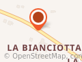 Manzi Gino