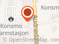 VisMæ Konsmo