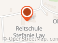 Austernfischer Spiekeroog