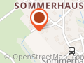 Gepflegte Freundschaft Hundetraining und Pudelpflege