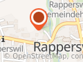 Kirchgemeinde Rapperswil BE