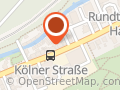 Cricketer point - German Cricket Store