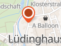 DIE HAUSÄRZTE IN DER BORG