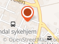 Vidar S Aasen