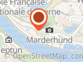 Stiftung Bärenpark Bern