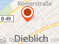 Dott Leander Omnibusse