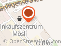 Verband Bernischer Musikschulen (VBMS)