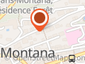 MAP-SI Conseil