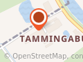 Reitanlage Tammingaburg