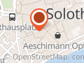 Büsisitter Solothurn