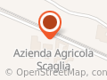 Molecola