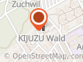 KIJUZU am Wald