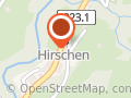 Bergmann Taxi & Carreisen