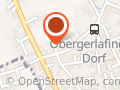 Lebens-Lichtung