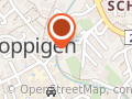 Spichiger + Balta Renovationsteam