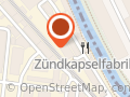 Stiftung SILEA, Aare