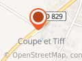 Coupe Et Tiff
