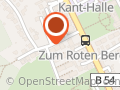 dieFANS der Münster Phoenix
