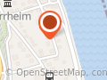 Löwenanteil
