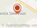 Gestüt Steenhaar Beatrix Gippert