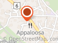 Appaloosa Saloon