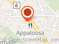 Appaloosa Saloon
