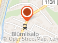 Hotel-Restaurant Blümlisalp, Kandersteg, Ch. und M. Wyss-Wandfluh