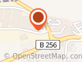 Buchen Transport GmbH