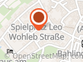 Elzpiraten