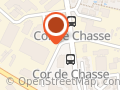 Car Enchères