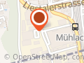 Muttenzer Fahrzeugglas