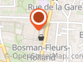 BOSMAN FLEURS