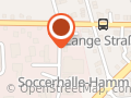 Star-Auto und Detailing GmbH