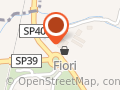 Fiore S.r.l