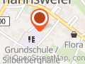 Systemische Praxis von Dressler