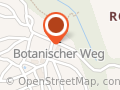 Fuchsbau im Eichenwald