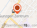 Tannzapfe Zunft