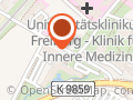 Chinarestaurant Shun Feng Freiburg