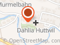 dahlia Huttwil