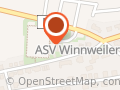 Allgemeiner Sportverein e.V.