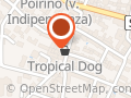 TROPICAL DOG DI STUARDI GABRIELE