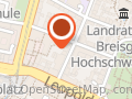 Die Linke Freiburg